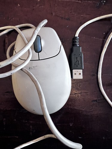 Mouse vintage kensington - mouse,